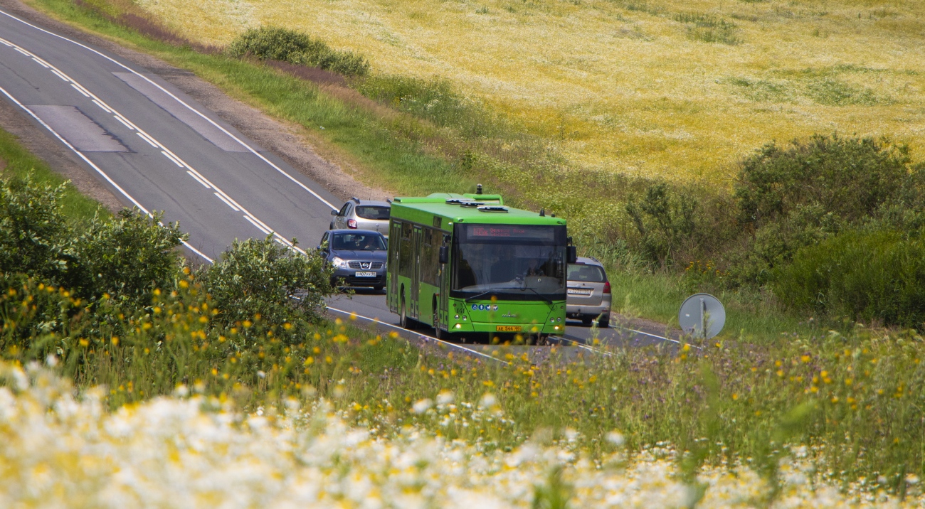 Velikie Luki — Miscellaneous photos