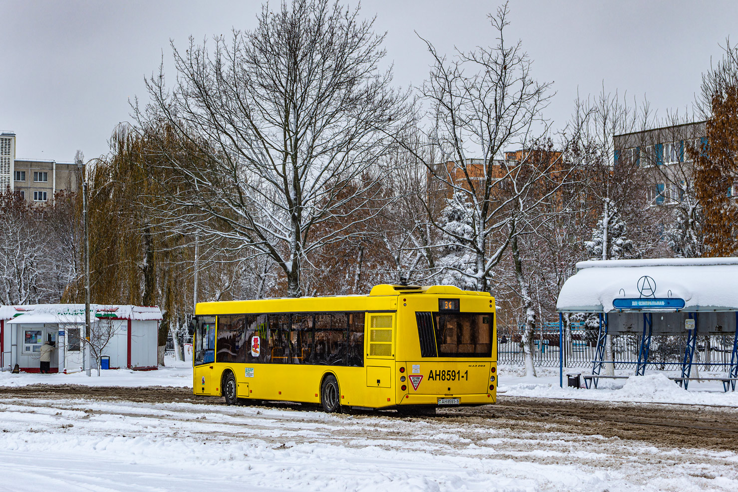 Pinsk, MAZ-203.016 # 45314
