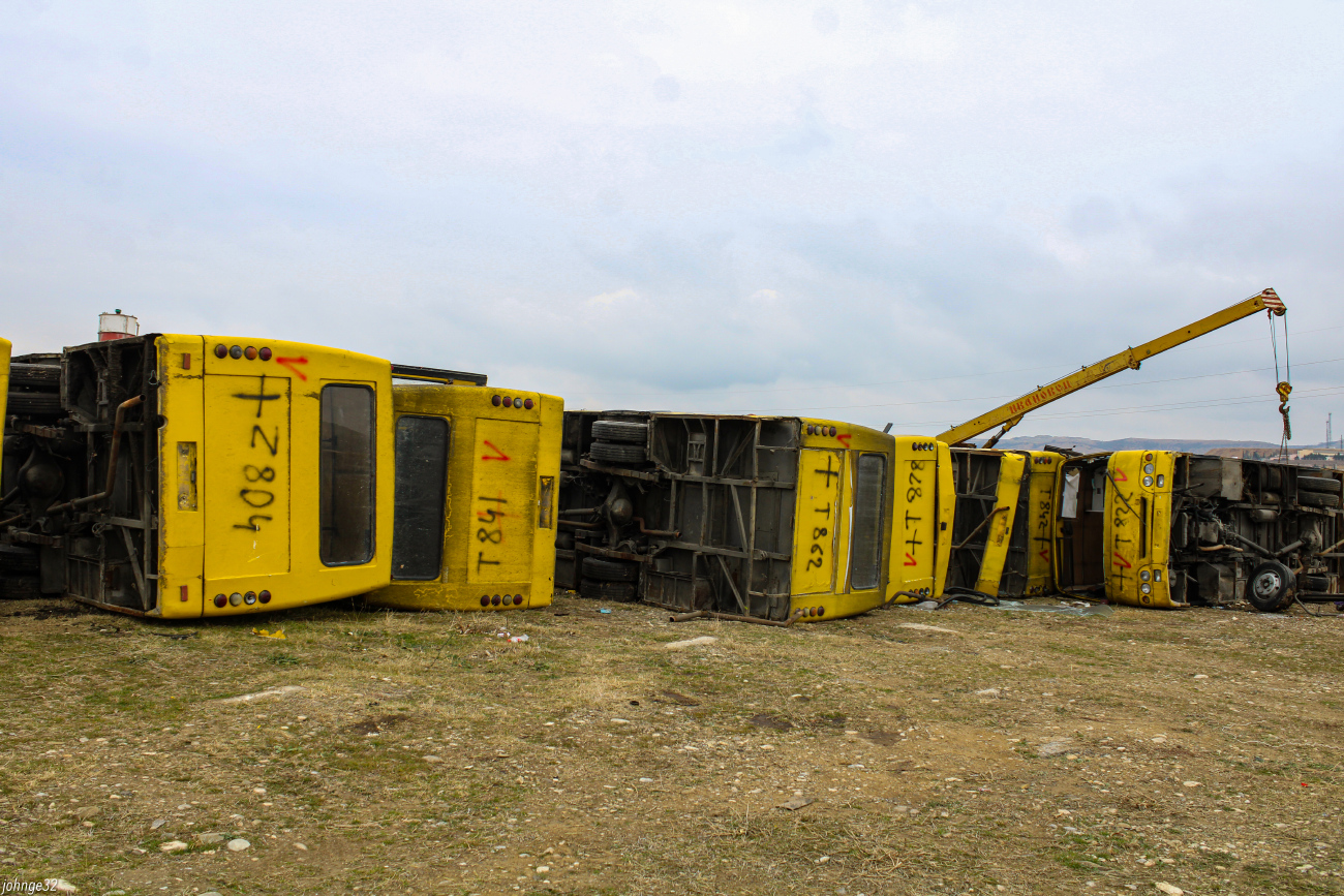Tbilisi, Bogdan А09201 # TTC-804; Tbilisi, Bogdan А09201 # TTC-841; Tbilisi, Bogdan А09202 # TTC-862; Tbilisi, Bogdan А09202 # TTC-878; Tbilisi, Bogdan А09201 # TTC-842; Tbilisi, Bogdan А09201 # TTC-822; Tbilisi — Miscellaneous photos