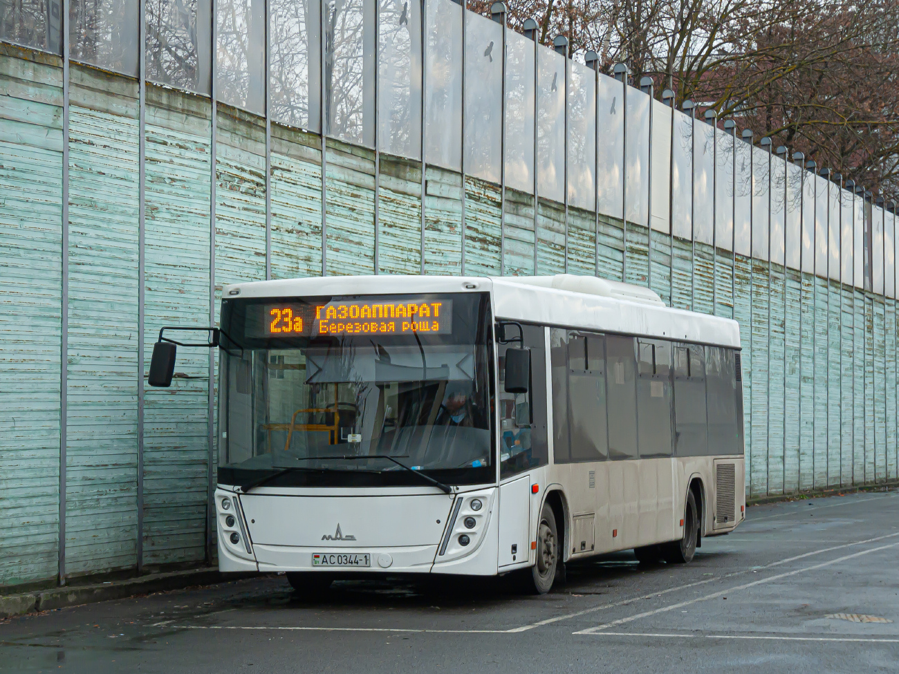 Brest, MAZ-210.046 # 476