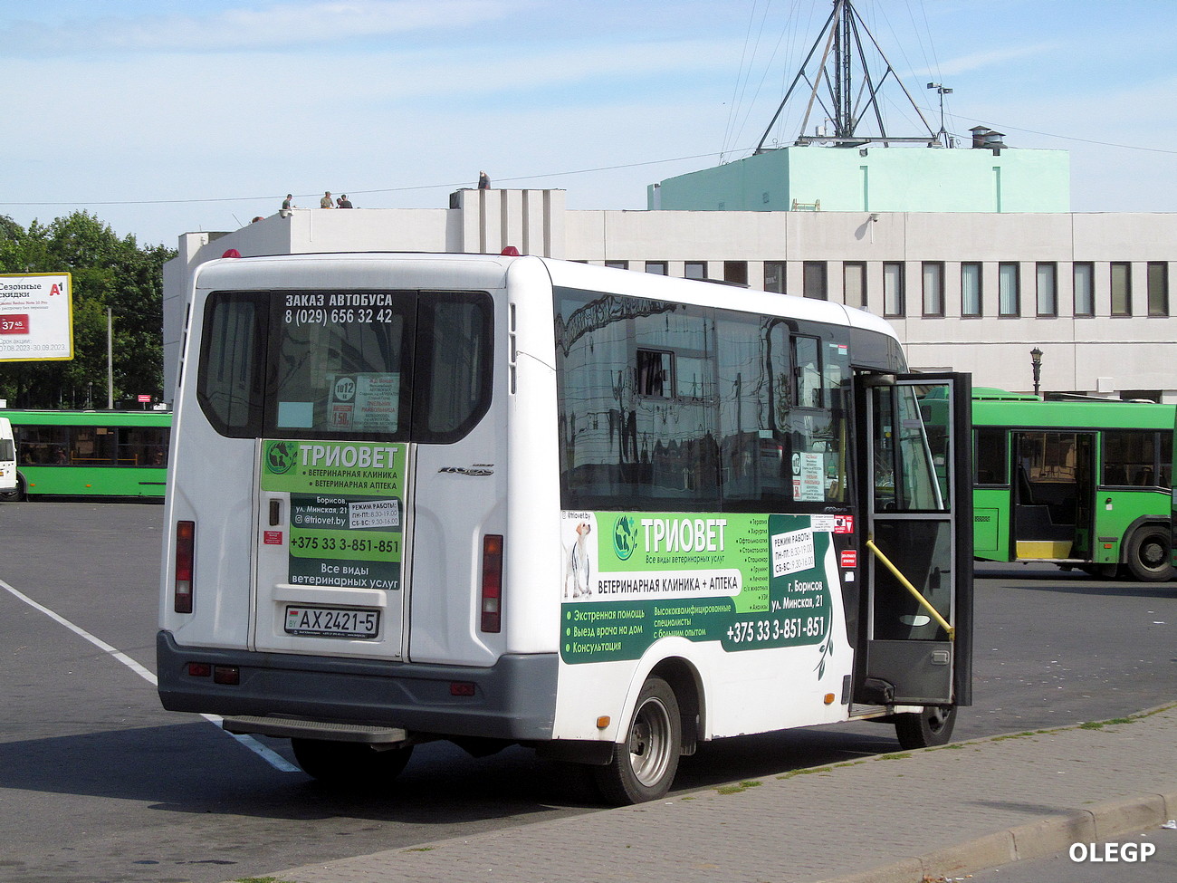Borisov, Луидор-225019 (ГАЗ Next) # АХ 2431-5