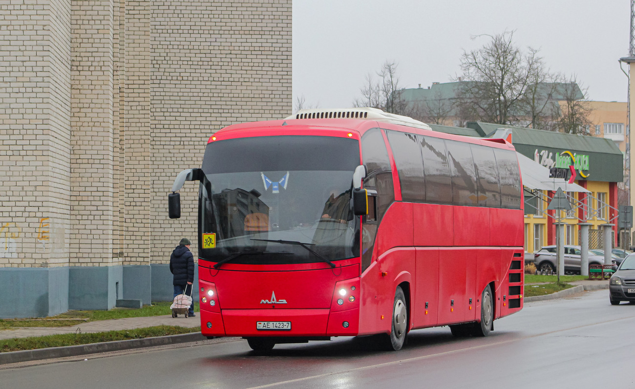 Minsk, MAZ-251.*** # АЕ 1423-7