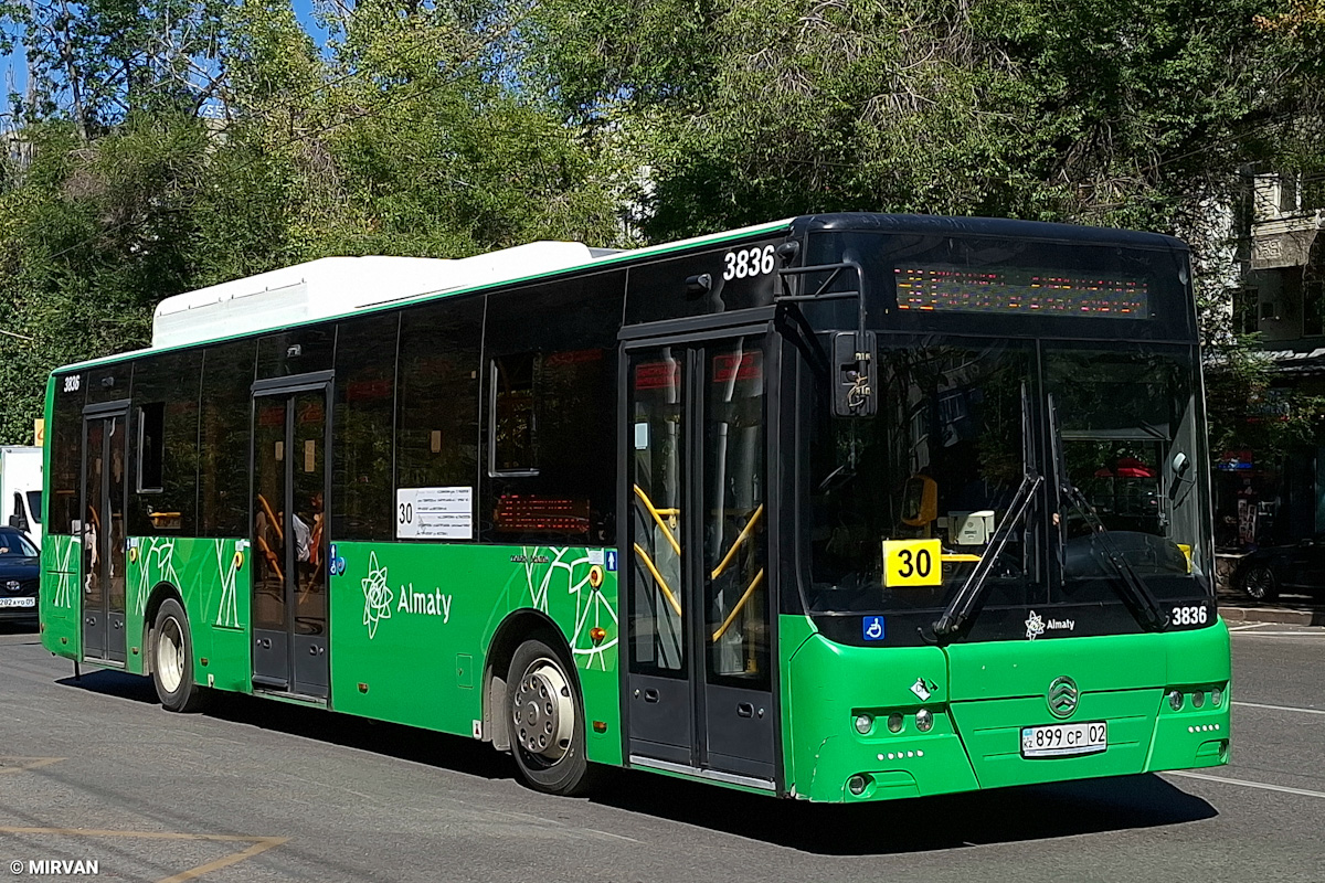 Almaty, Golden Dragon XML6125CN # 3836