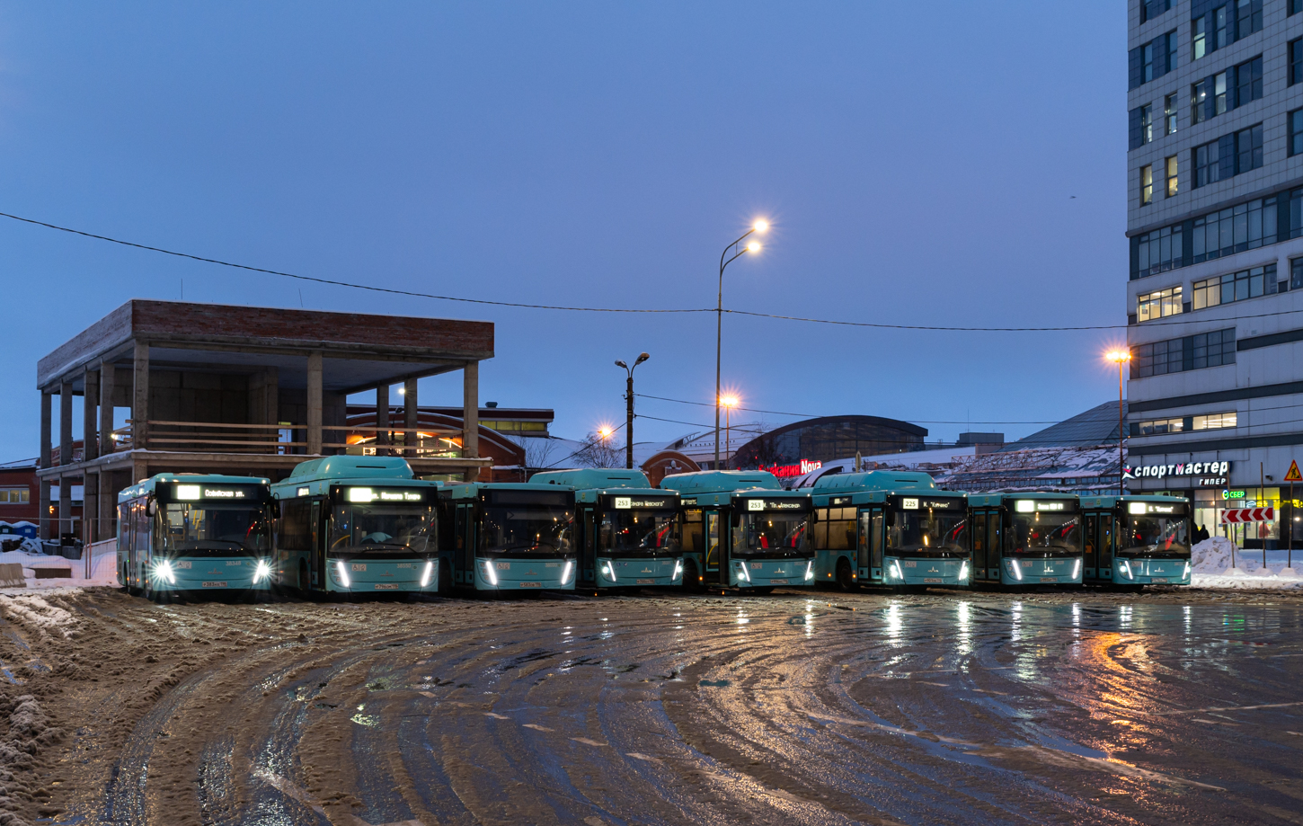 Saint Petersburg — Miscellaneous photos