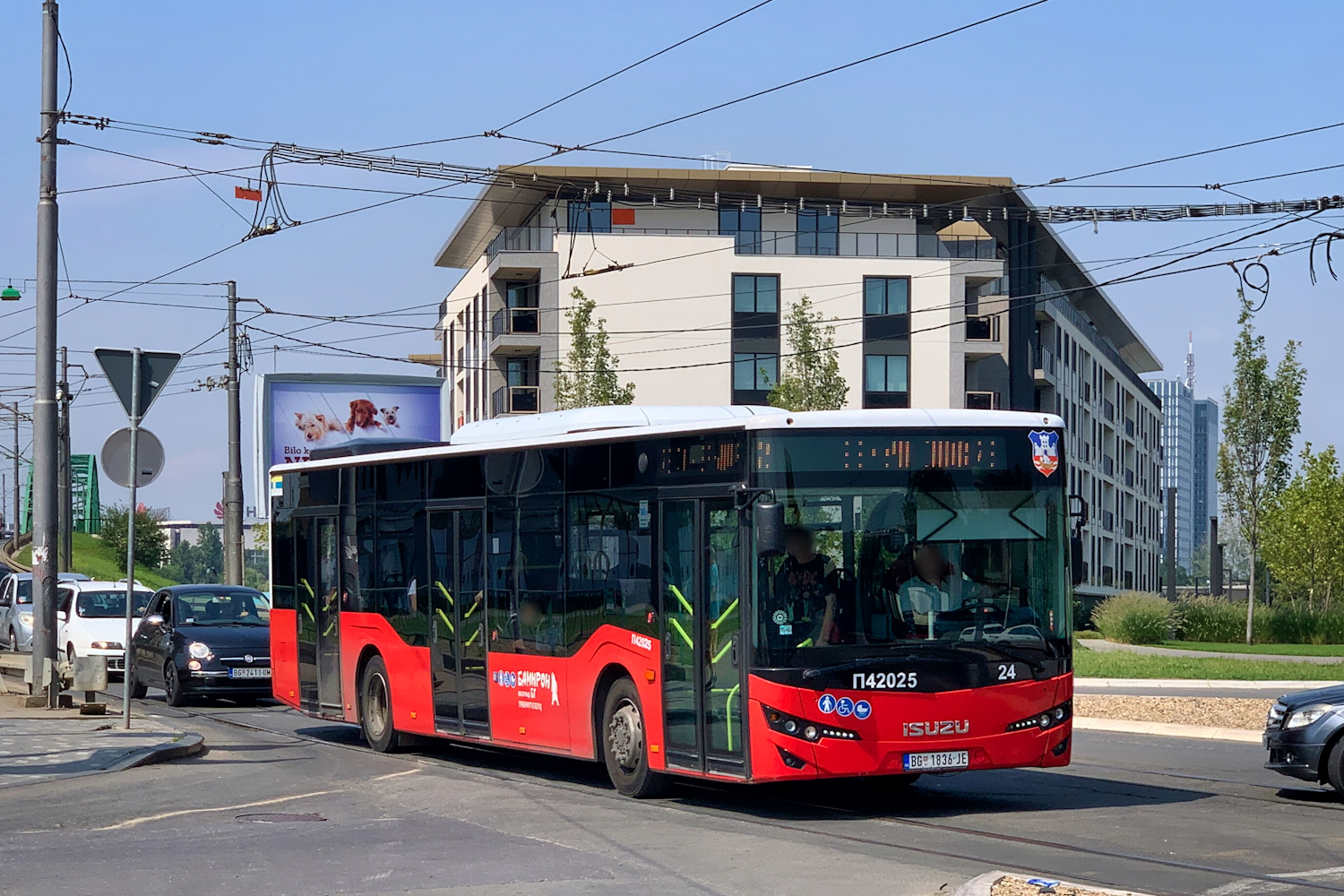 Belgrade, Anadolu Isuzu Citiport 12 # П42025