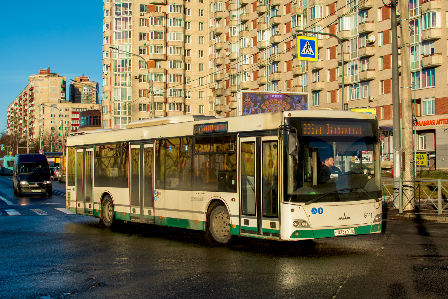 Saint Petersburg, MAZ-203.085 # 8441