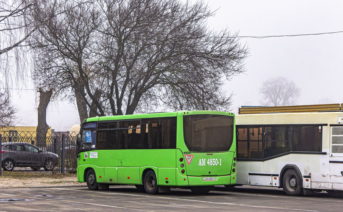 Ivanovo, MAZ-241.030 # 65081