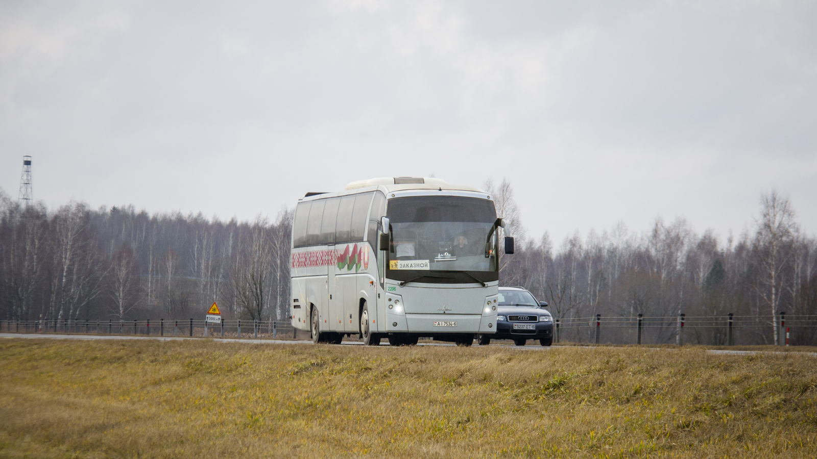 Mogilev, MAZ-251.062 # 2206