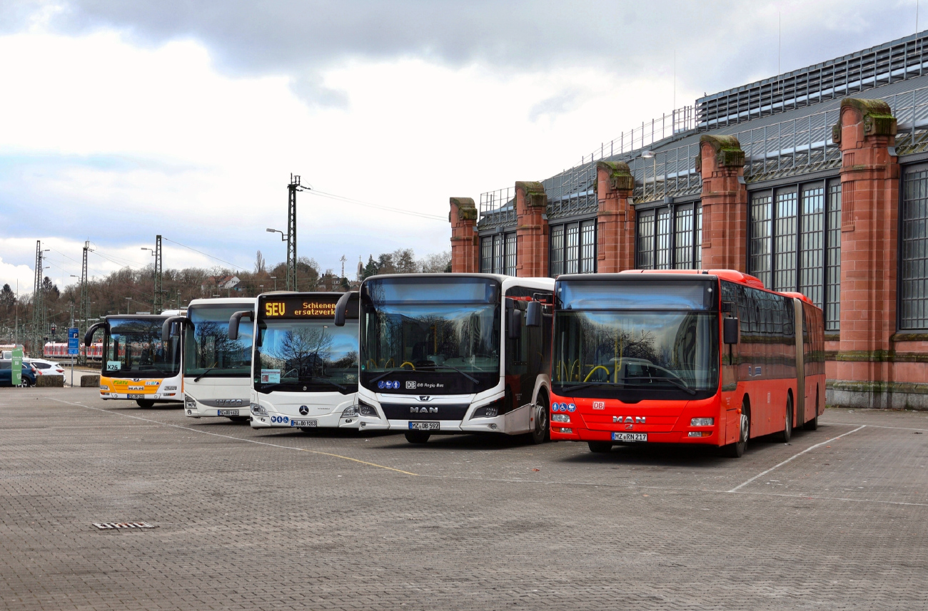 Dortmund, Mercedes-Benz Citaro C2 G # MA-DO 9283; Mainz, MAN 18C Lion's City NG360 EfficientHybrid # MZ-DB 592; Mainz, MAN A23 Lion's City G NG363 # MZ-RN 217