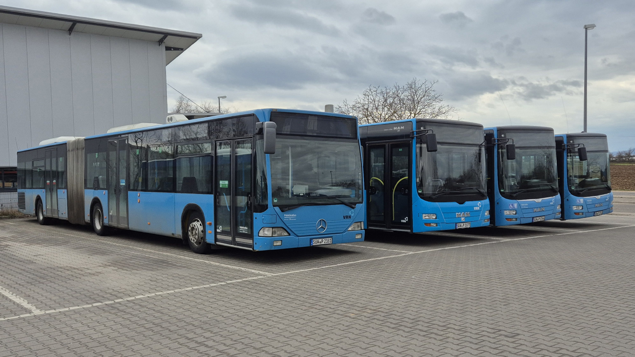 Südliche Weinstraße, Mercedes-Benz O530 Citaro G # SÜW-P 2181; Südliche Weinstraße, MAN A23 Lion's City GL NG363 # SÜW-P 2077; Südliche Weinstraße, MAN A23 Lion's City G NG363 # SÜW-P 1744; Südliche Weinstraße, MAN A23 Lion's City G NG363 # SÜW-P 1741