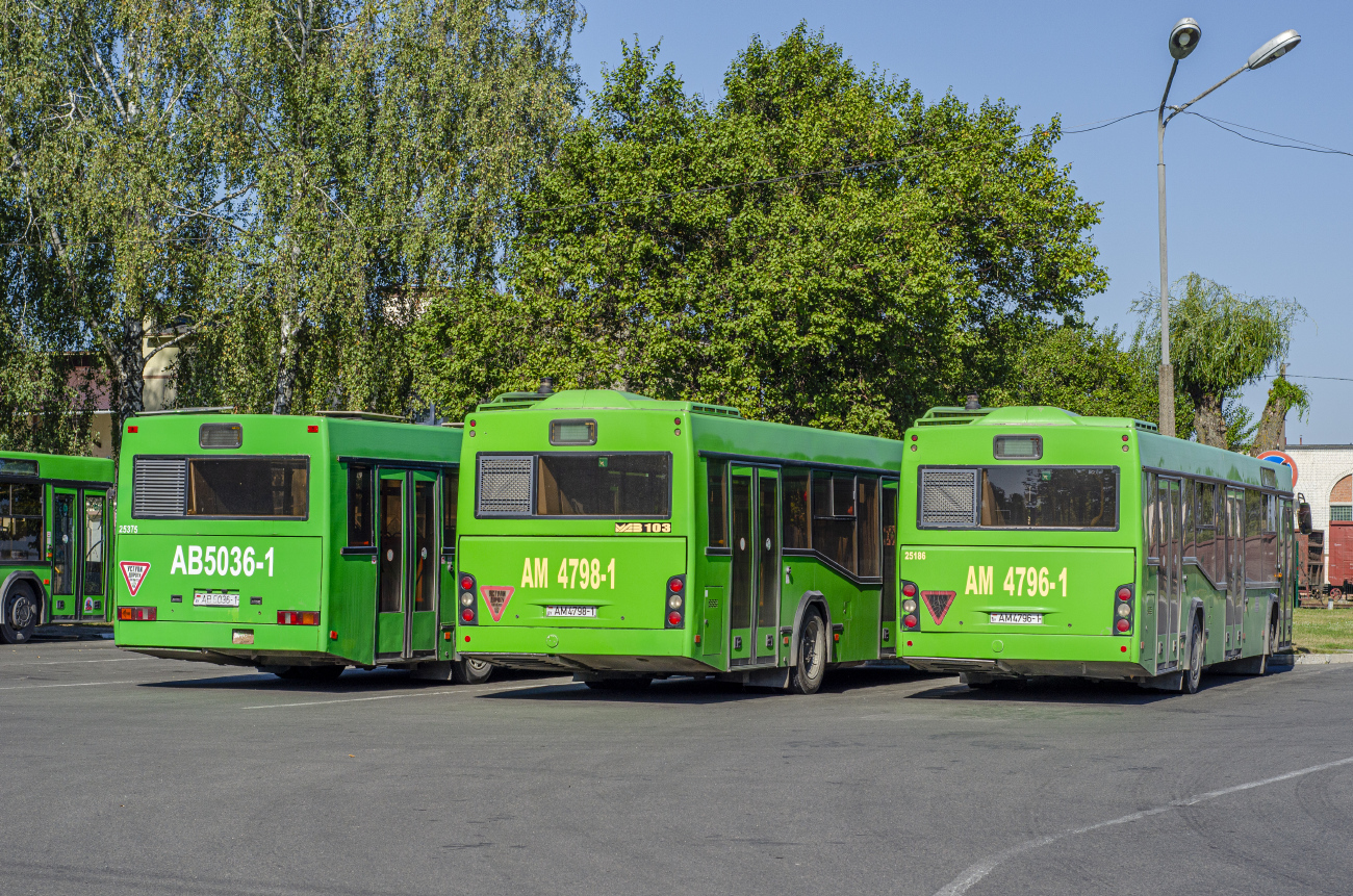 Pinsk, MAZ-103.486 # 25186