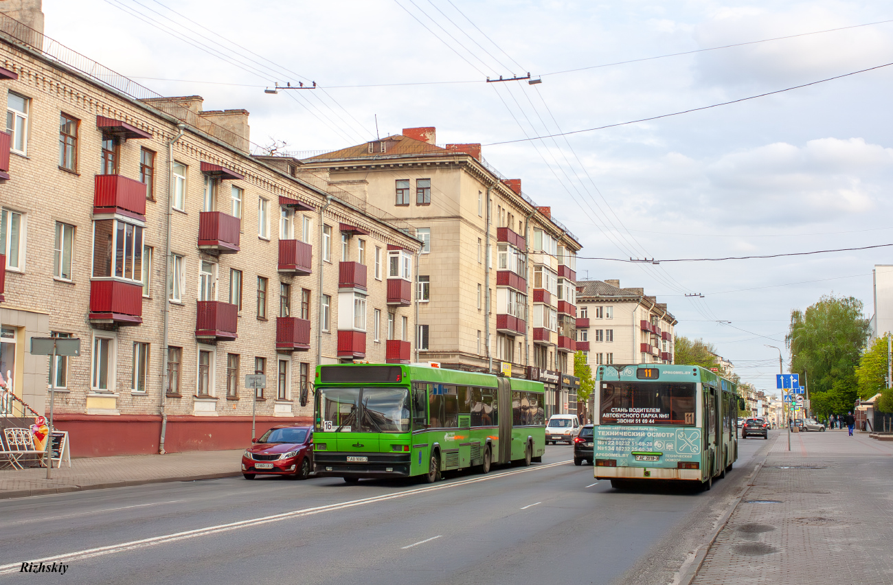 Gomel, MAZ-105.060 # 25143; Gomel, MAZ-105.465 # 12106