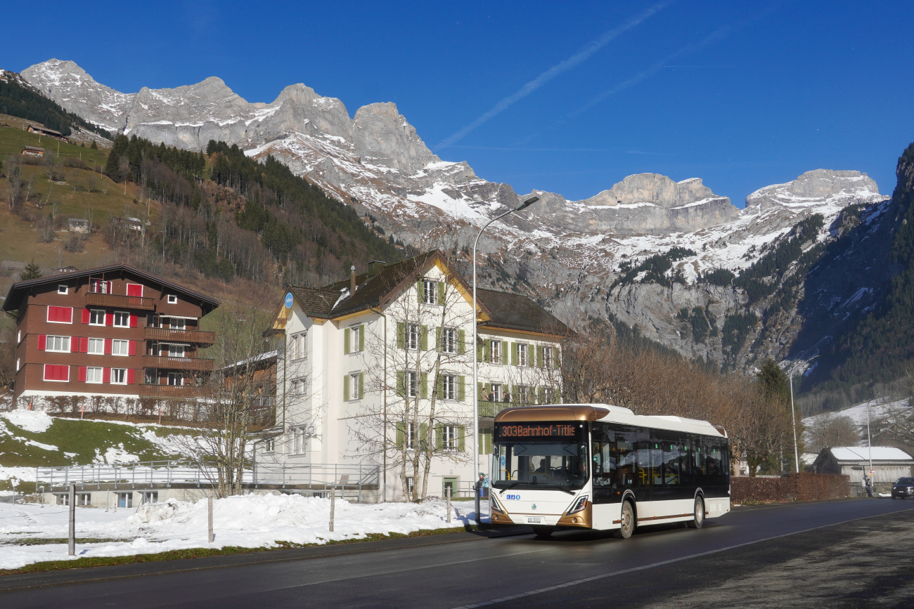 Sarnen, Yes-EU EU12 # 8