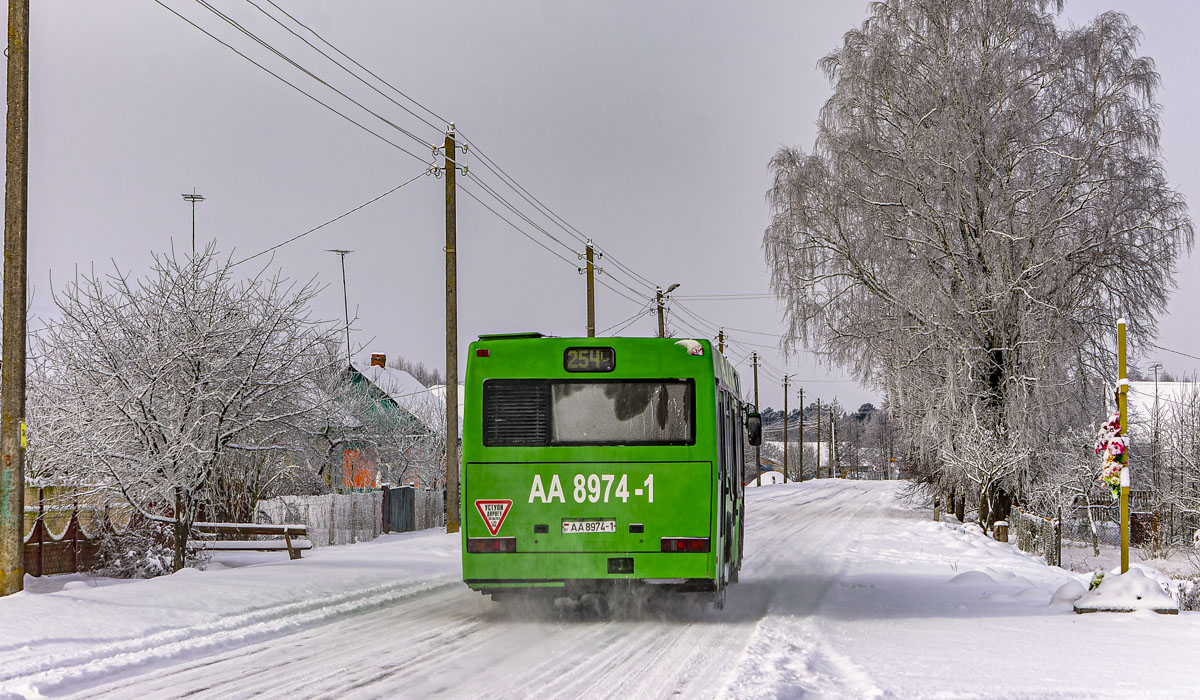 Pinsk, MAZ-103.065 # 25373
