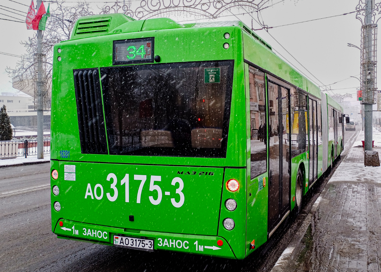 Gomel, MAZ-216.047 # 016391