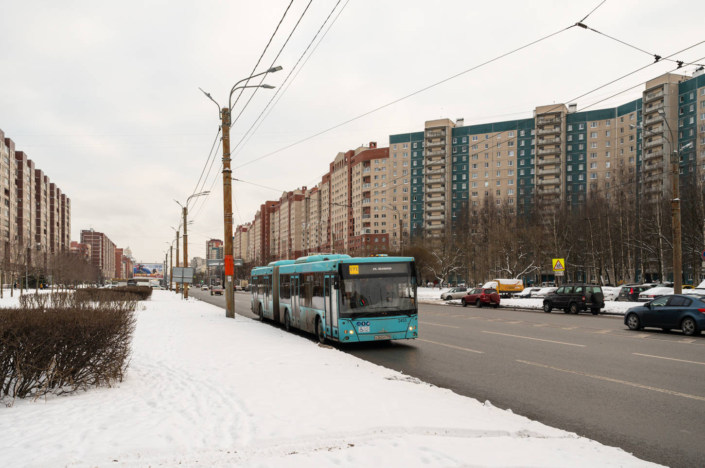 Saint Petersburg, MAZ-216.066 # 2455