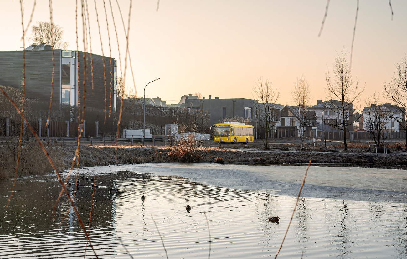 Minsk, MAZ-206.047 # 045100; Photo creativitiy