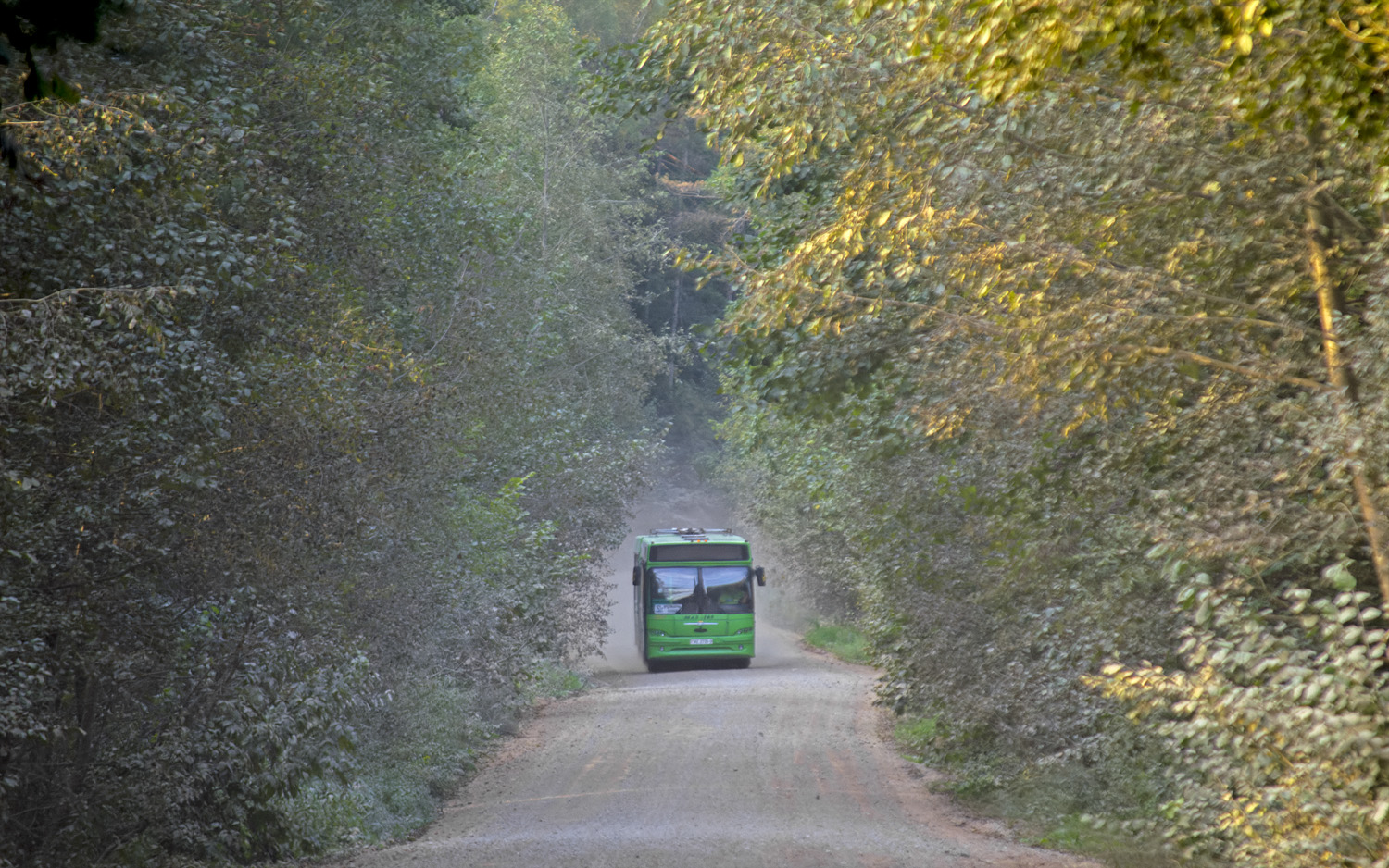 Polotsk — Miscellaneous photos