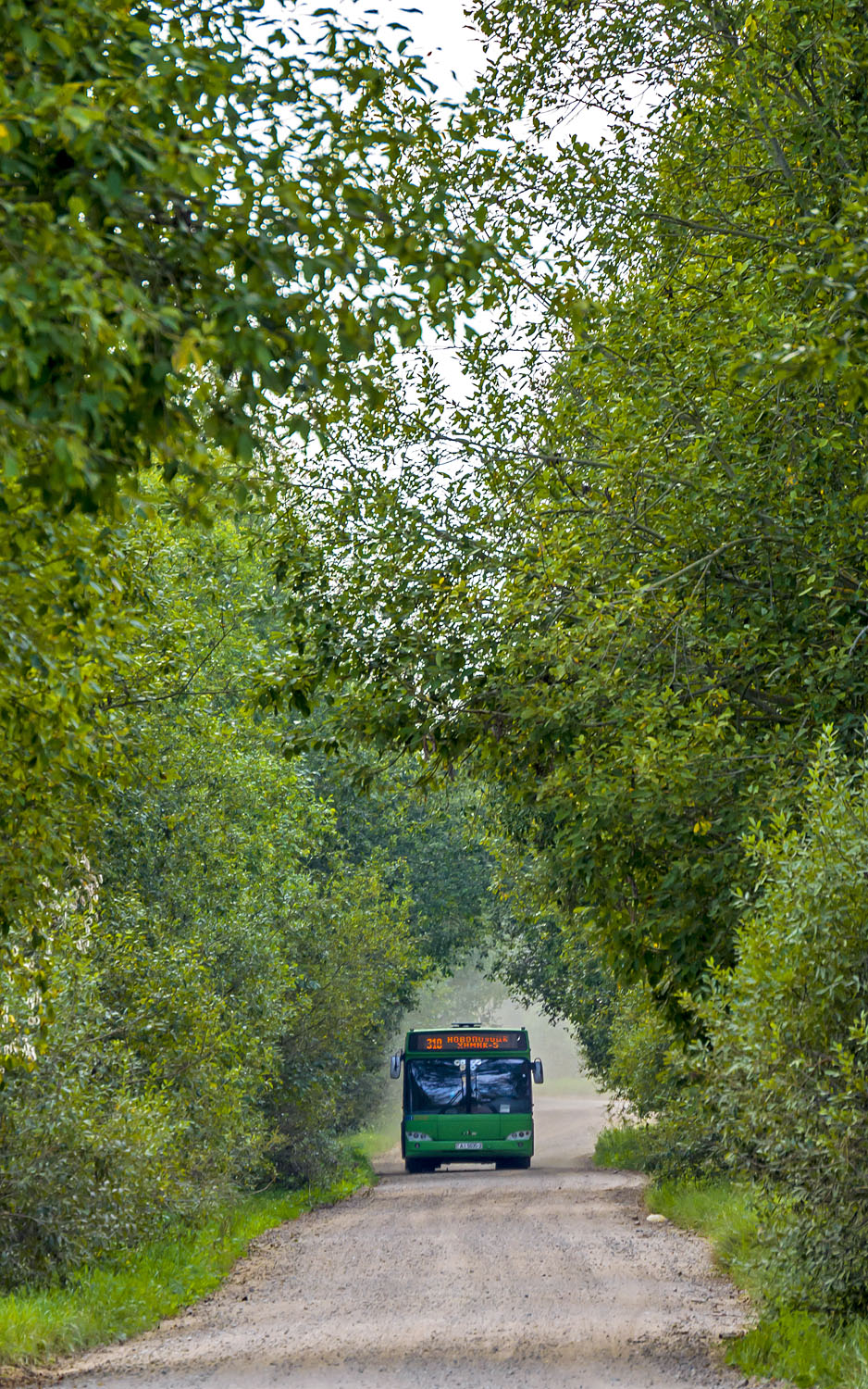 Novopolock — Miscellaneous photos