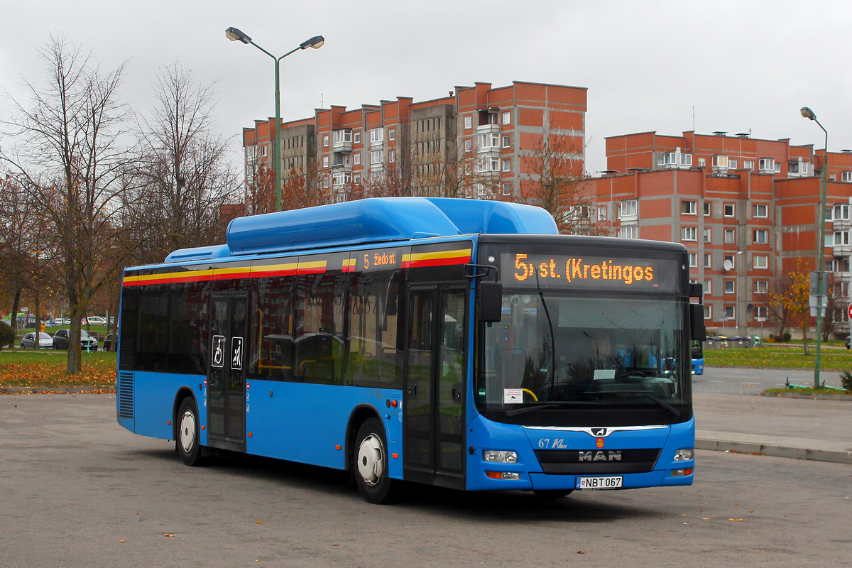 Klaipėda, MAN A21 Lion's City NL313 CNG # 67