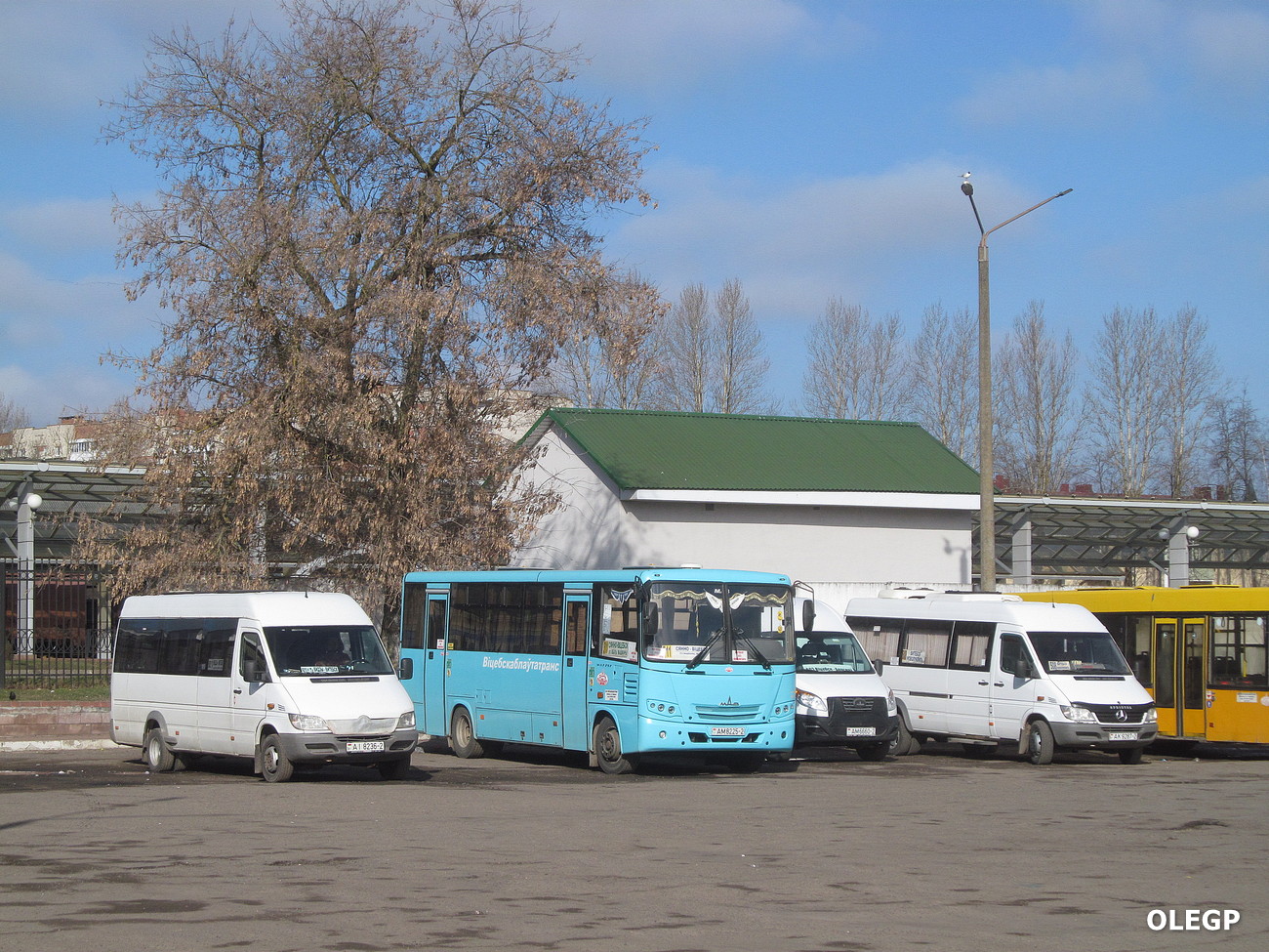 Vitebsk, Luidor-2232** (MB Sprinter Classic) # АІ 8236-2; Vitebsk — Miscellaneous photos