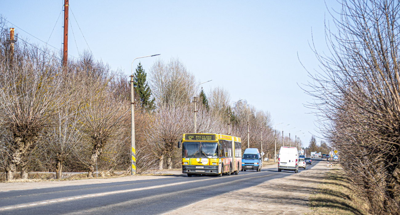 Borisov, MAZ-105.065 # 14699