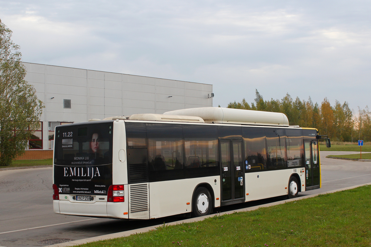 Šiauliai, MAN A21 Lion's City NL313 CNG # 1183