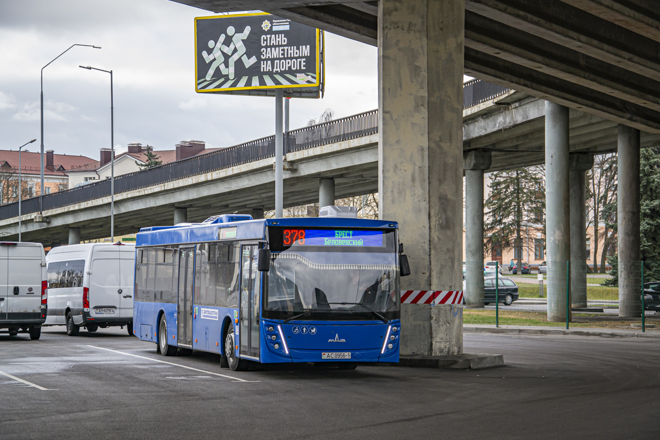 Kamianets, MAZ-203.147 # 235