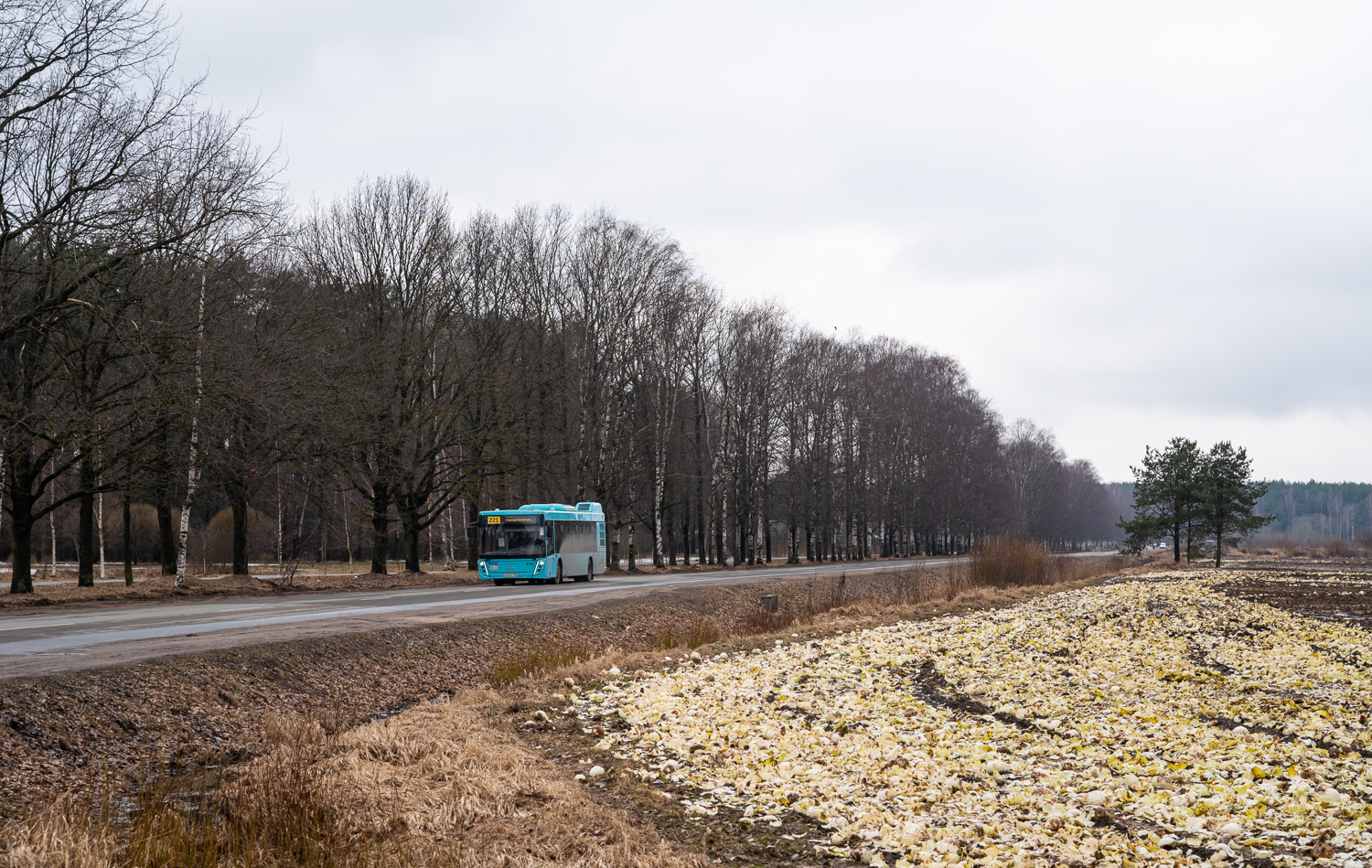 Saint Petersburg — Miscellaneous photos