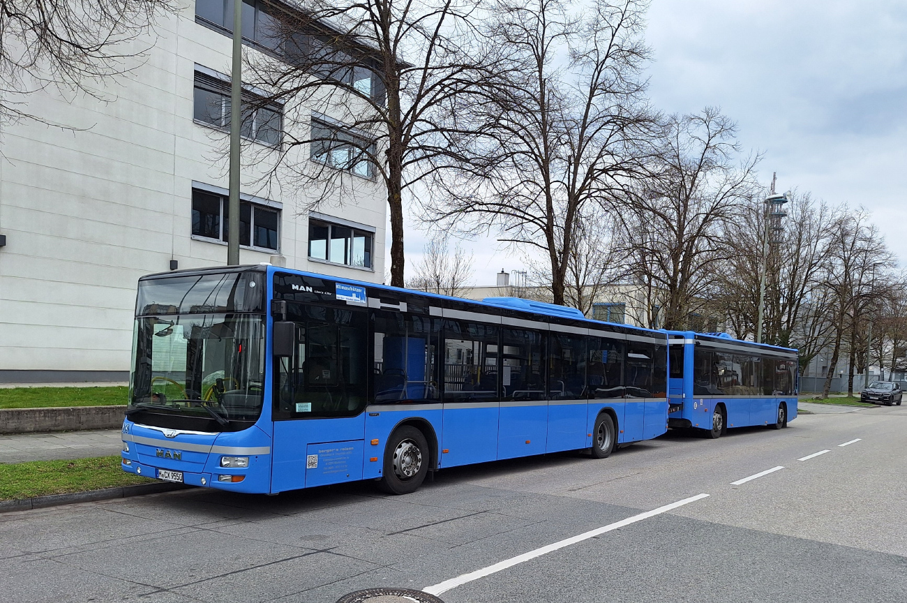 Munich, MAN A21 Lion's City NL363 # M-CX 9550