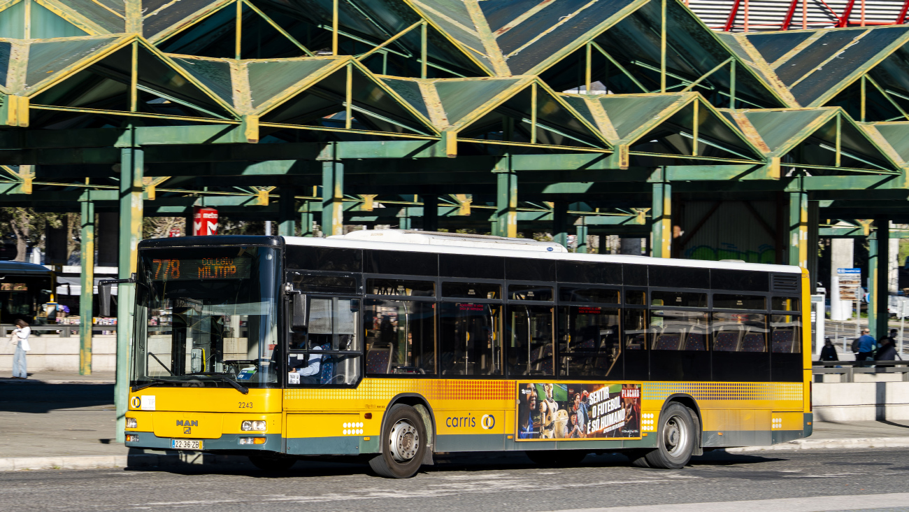 Lisbon, Caetano City Gold # 2243