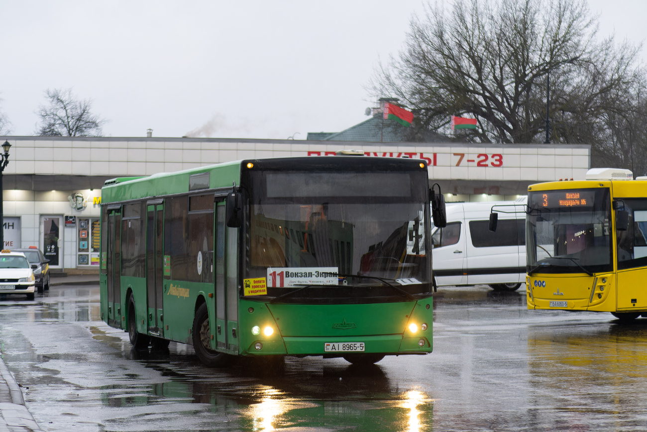 Borisov, MAZ-203.065 # 15733