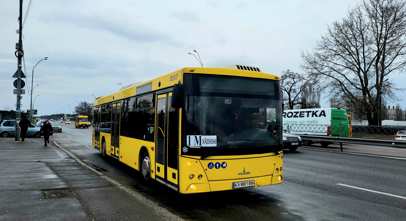 Kyiv, MAZ-203.015 # 8247
