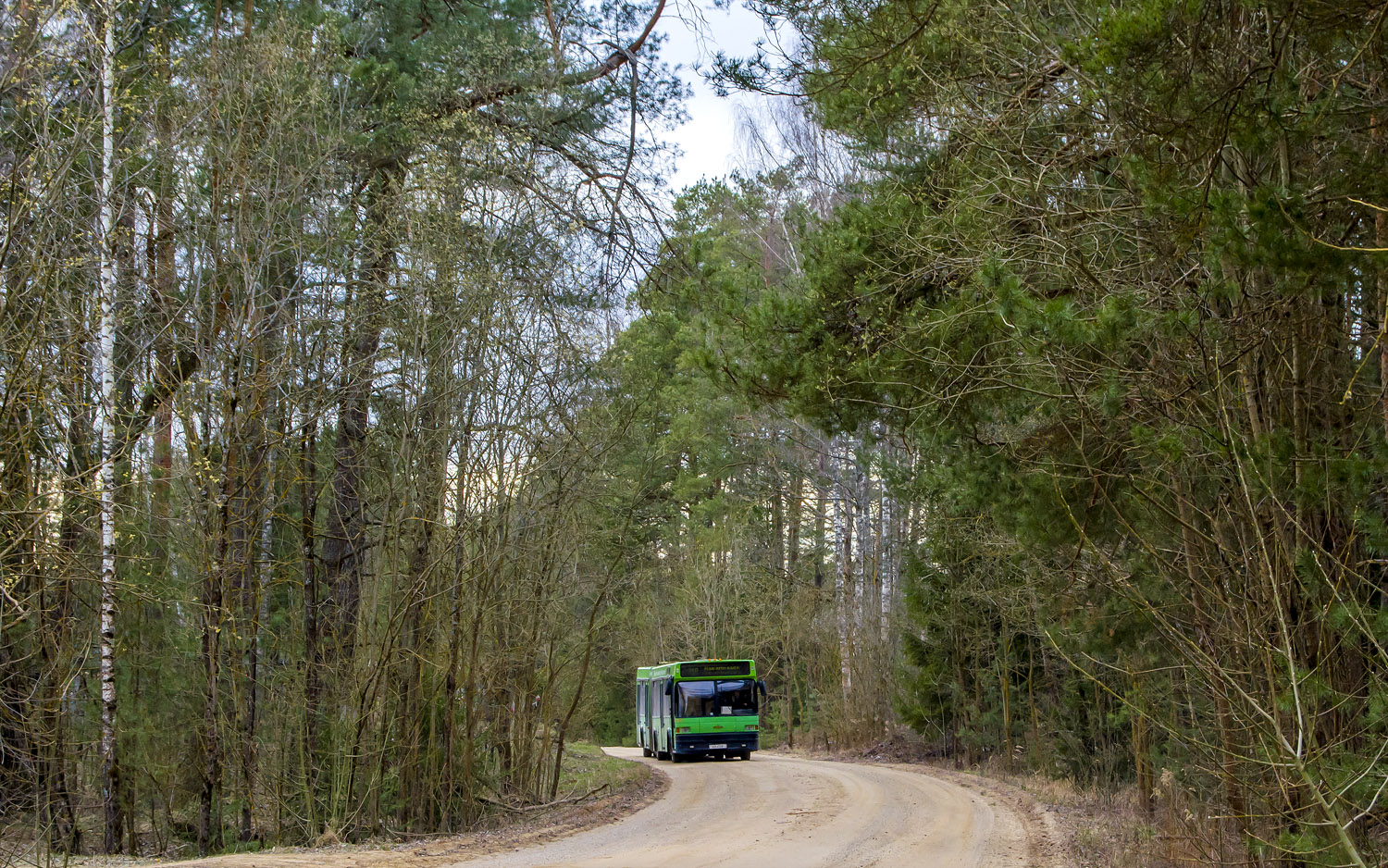 Novopolock — Miscellaneous photos