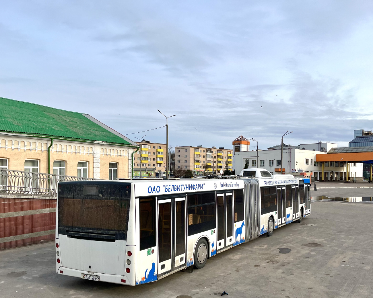 Vitebsk, MAZ-215.069 # АМ 1493-2