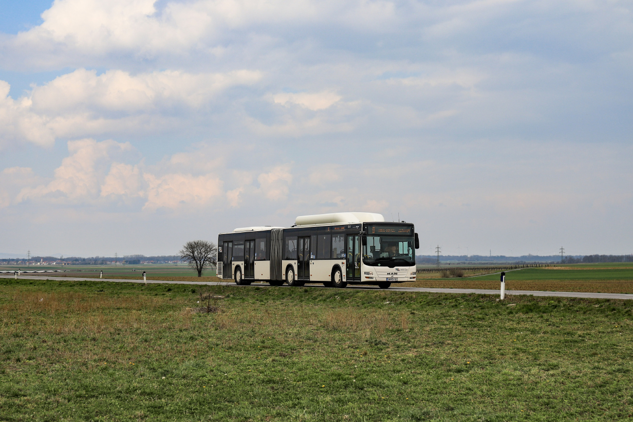 Wiener Neustadt, MAN A23 Lion's City G NG313 CNG # 54