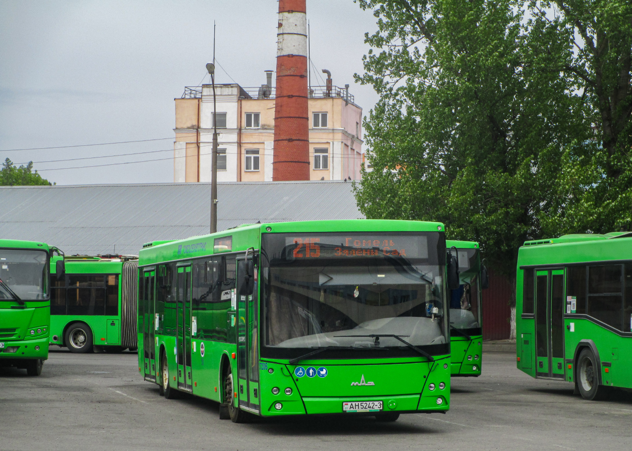 Gomel, MAZ-203.045 # 037206