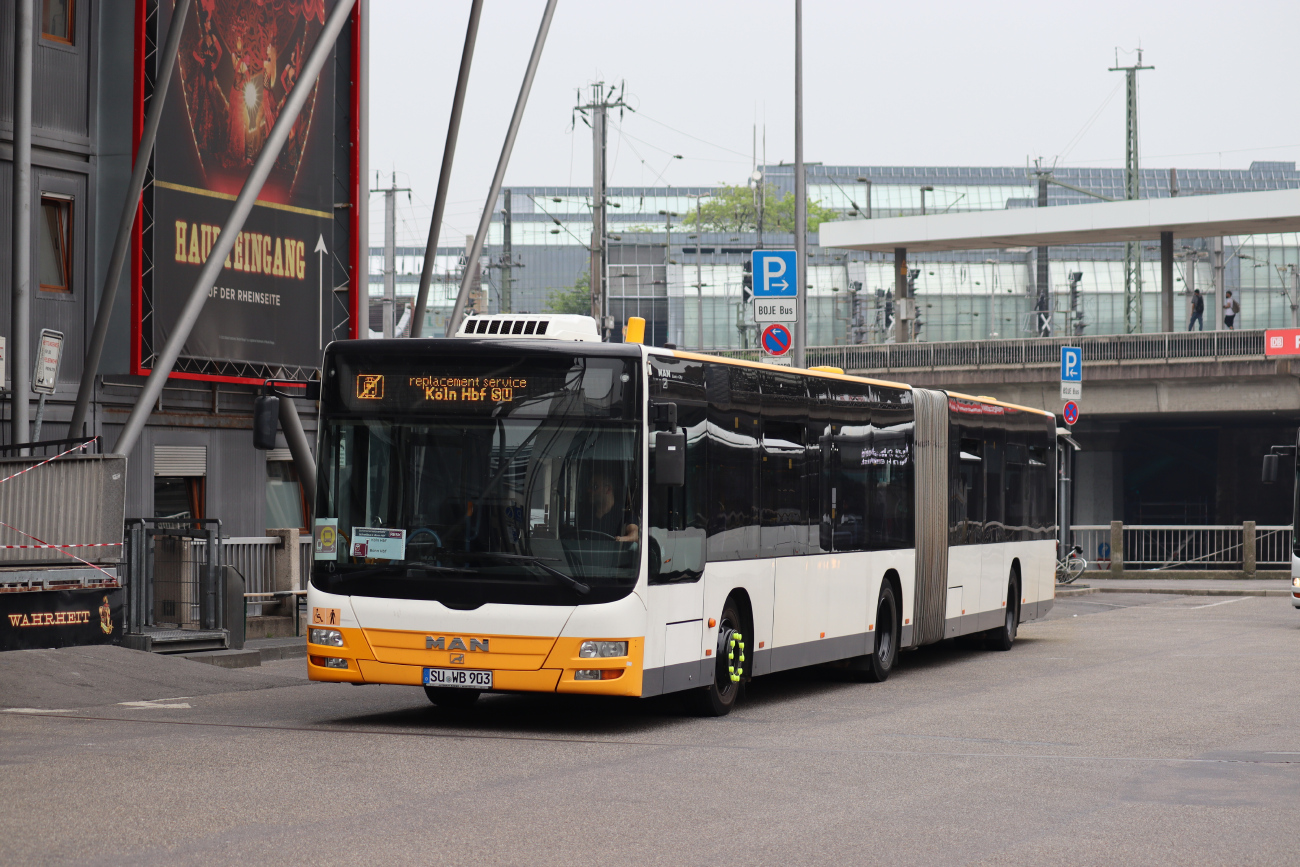 Bonn, MAN A23 Lion's City G NG313 # SU-WB 903; Cologne — Rail Replacement "Linke Rheinstrecke" 05/2025