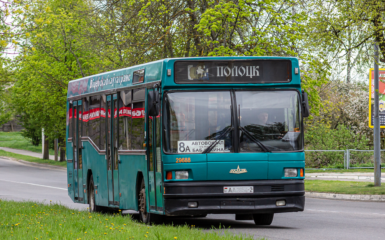 Polotsk, MAZ-104.025 # 029688