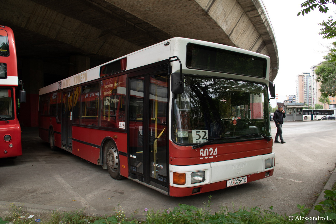 Skopje, MAN A10 NL222 # 6024