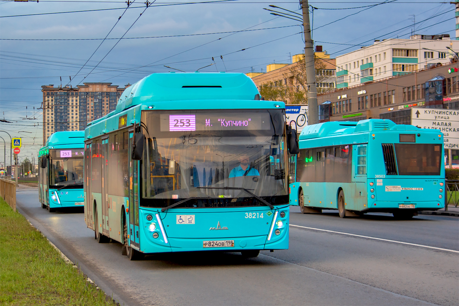 Saint Petersburg, MAZ-203.948 # 38214