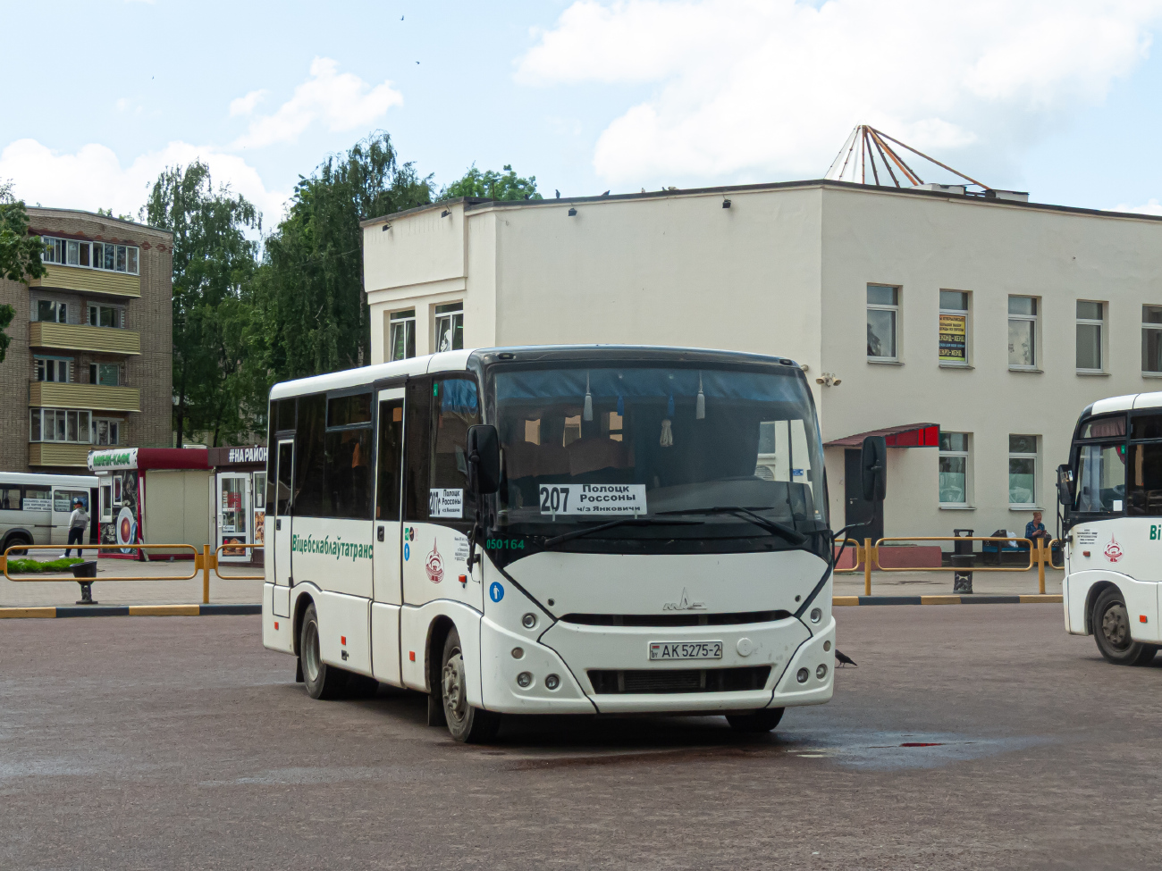 Rossony, MAZ-241.000 # 050164