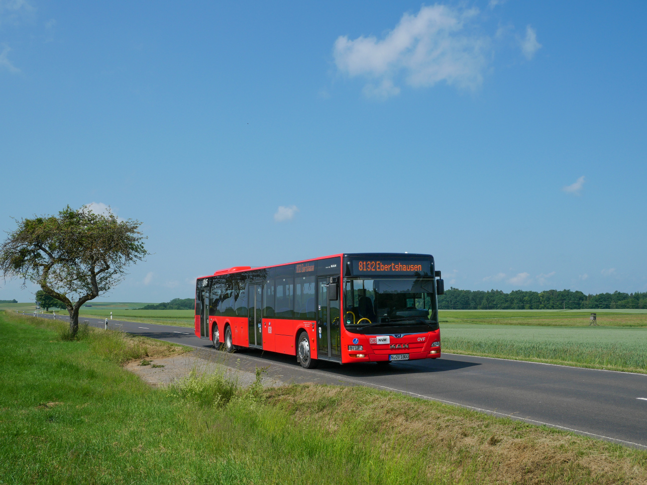 Nuremberg, MAN A26 Lion's City LL NL363-15 # N-OV 1800