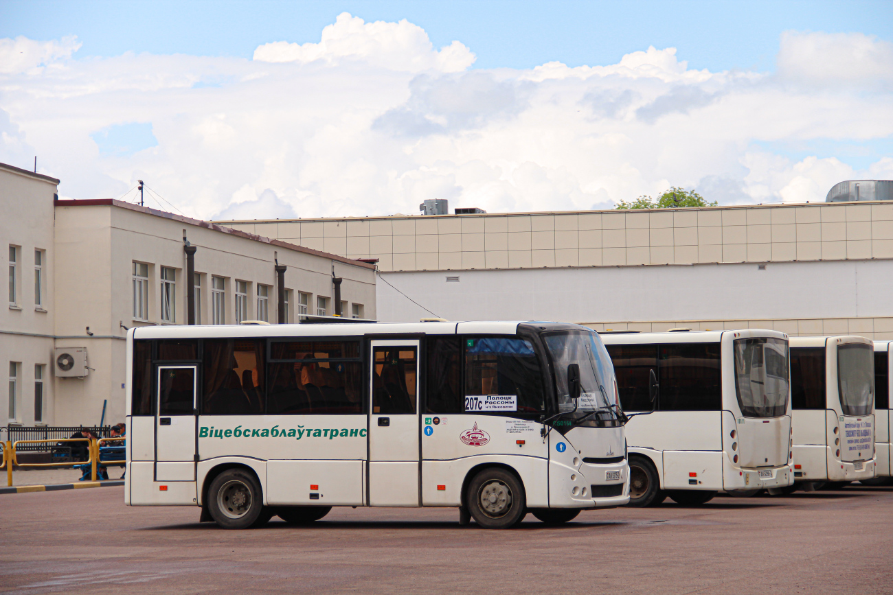 Polotsk, MAZ-241.000 # 010111; Polotsk, MAZ-241.000 # 010138; Rossony, MAZ-241.000 # 050164