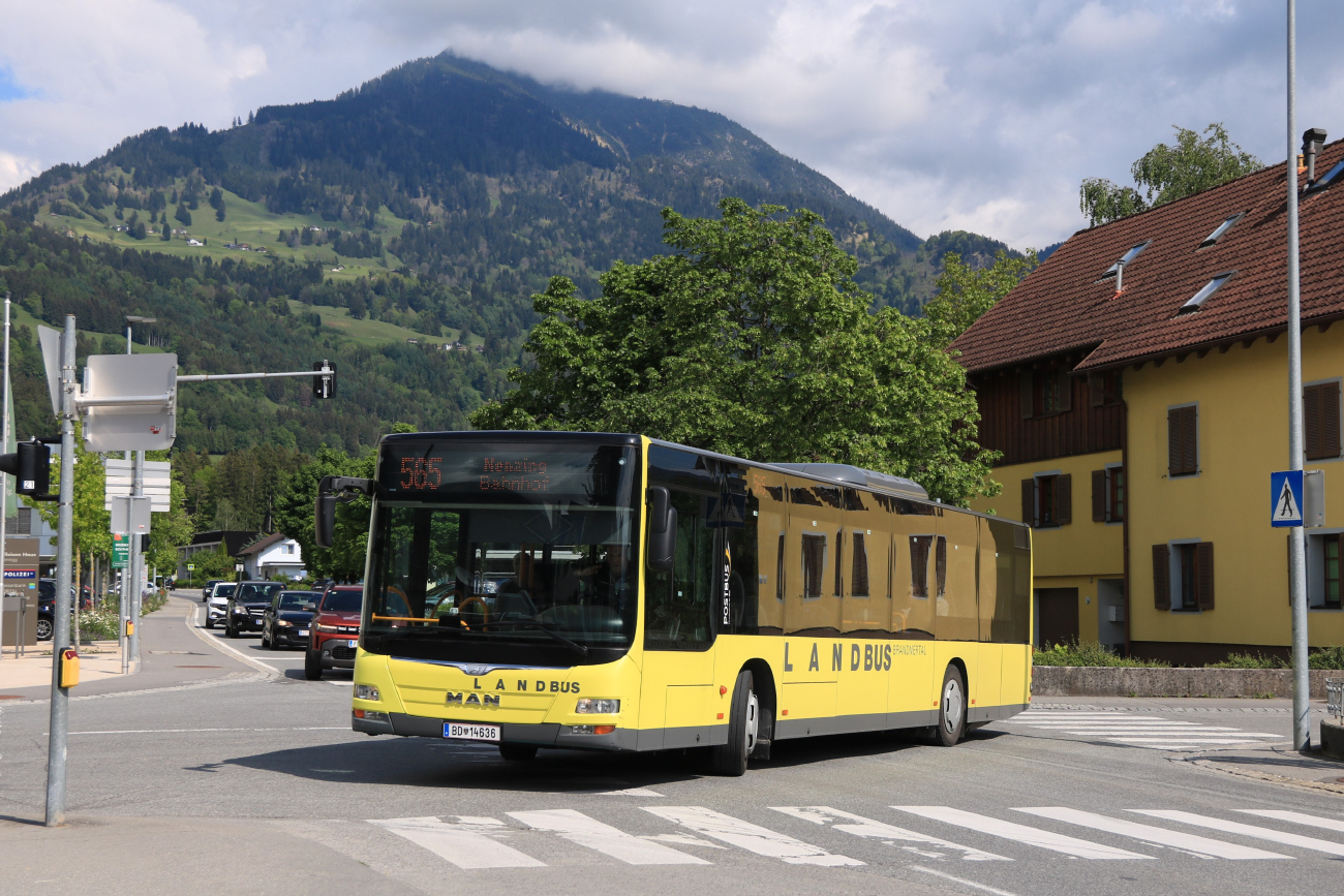 Bludenz, MAN A21 Lion's City NL363 No. 14636