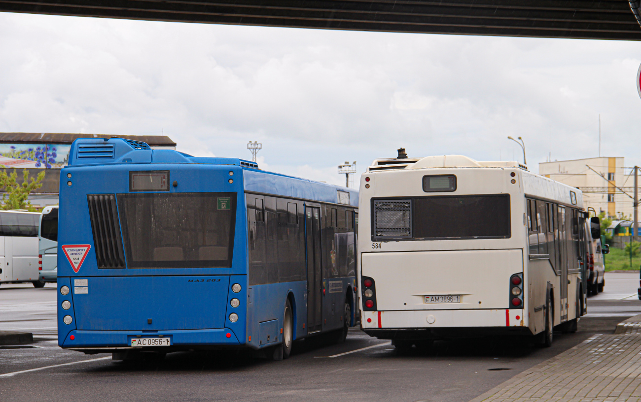 Brest, MAZ-103.586 # 584; Kamianets, MAZ-203.147 # 235