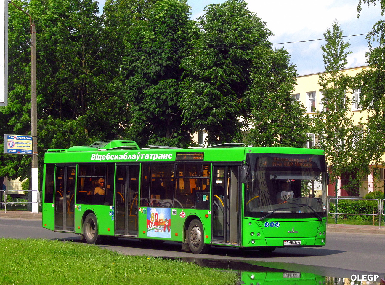 Orsha, MAZ-203.047 # 10102