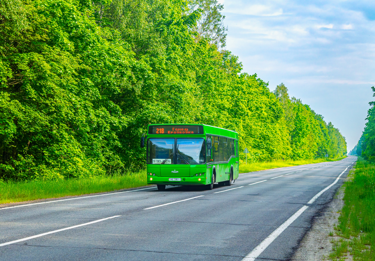 Gomel, MAZ-103.465 # 036470