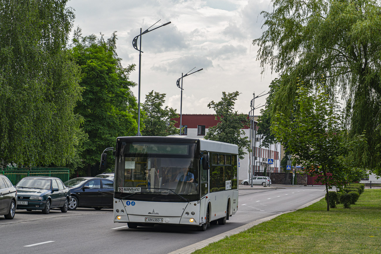 Brest, MAZ-206.086 # 449