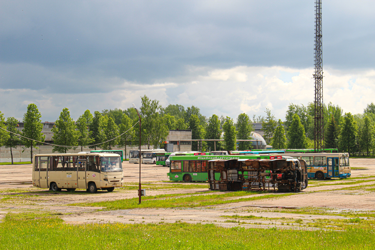 Shumilino, MAZ-256.200 # 059800; Miory, PAZ-4234 (423400, -T0, -K0, -B0) # 413043